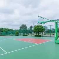 经鑫PU-8 复合硅PU球场8mm 硅PU球场材料环保