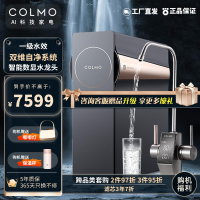 COLMO 净水器家用净水机I2000 10年长效RO反渗透厨下直饮软水机TDS智能数显 B139[800G净水器]