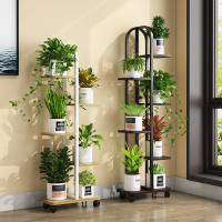 花架置物架阳台花架子落地式多层客厅简约室内铁艺靠墙绿萝花盆架