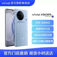 vivo X90 蓝色8+256G 天玑9200旗舰芯片 自研芯片V2 蔡司影像5G 拍照 手机