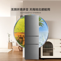 海信(Hisense)210升小冰箱小型家用冰箱三门租房用小户型节能省电以旧换新 BCD-210S1RNQA 凯撒银
