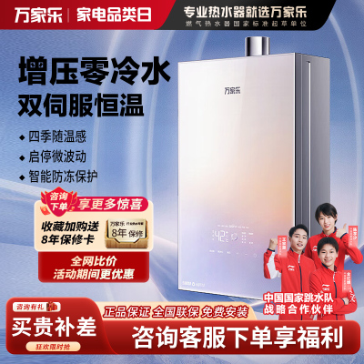 万家乐 燃气热水器JSQ30-16RG3 天然气下置风机16升零冷水密闭稳燃舱全景玻璃屏[彩虹系列]