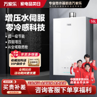 万家乐[安睡洗S9PRO]16升燃气热水器天然气一级恒温水伺服防冻