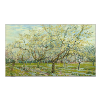 创维W55D 卧室电视 无缝贴墙 壁画设计 百变艺术屏 28.9mm全面薄