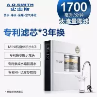 (福建史密斯)史密斯牌R1700XF1型反渗透净水机