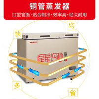 星星(XINGX)180L冰柜家用小型冷柜 BCD-180GCT 大冷冻小冷藏双温铜管冷柜商用卧式冰柜