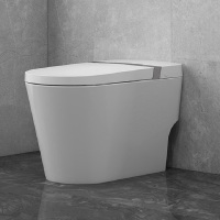 惠达(HUIDA)轻智能坐便器IT201