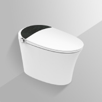 惠达(HUIDA)智能坐便器IT306DH