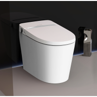 惠达(HUIDA)智能坐便器IT312DH