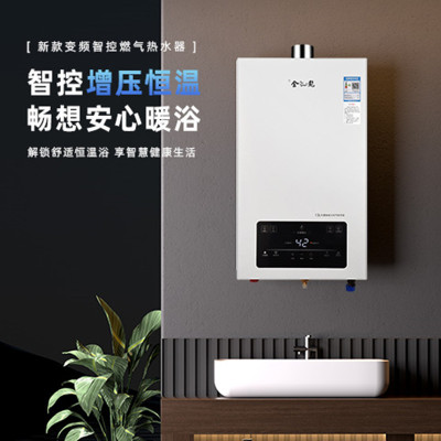 宁金龙燃气热水器 天然气精准控温 智能恒温 13升节能省气13JL01