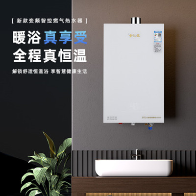 宁金龙燃气16A29热水器 天然气精准控温 变频恒温 16升节能省气