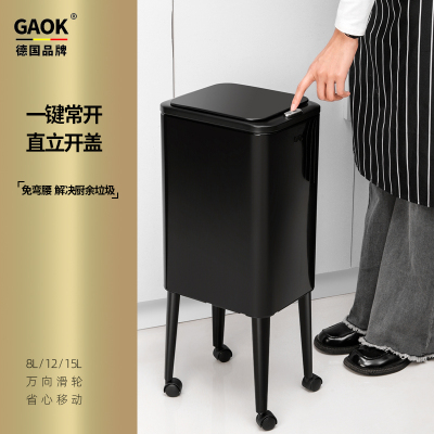 德国GAOK家用厨房按压翻盖带盖垃圾桶大容量分类可移动滚轮新款