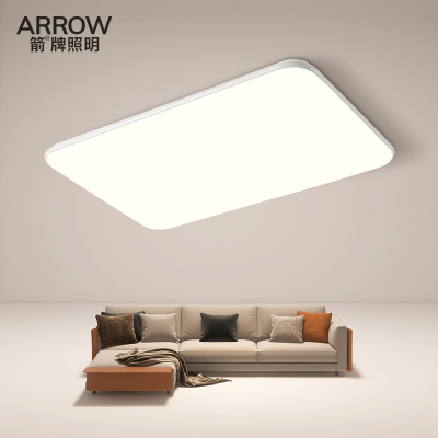 ARROW箭牌照明2024年新款现代简约大厅卧室吸顶灯灯具2-线下门店