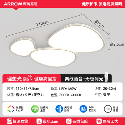 箭牌2024新款鹅卵石客厅灯现代简约大气主灯卧室房间灯-线下门店