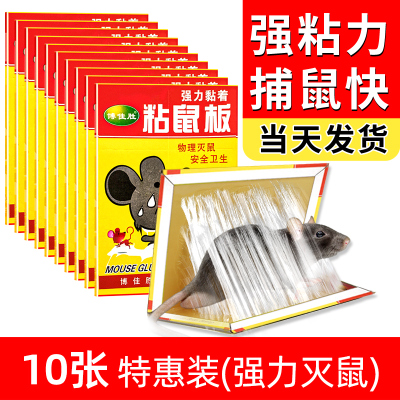 10本强力粘鼠板 强力粘鼠板捉粘大老鼠沾胶抓灭鼠笼捕鼠夹神器正品家用一窝端