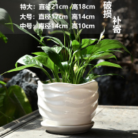 [补贴10%]中号花盆陶瓷特价清仓带托盘创意白色绿萝欧式简约超大桌面
