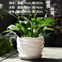 [补贴10%]中号花盆陶瓷特价清仓带托盘创意白色绿萝欧式简约超大桌面
