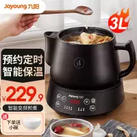 九阳(Joyoung)煎药壶中药锅全自动煎药锅熬药电砂锅中药养生壶紫砂电煮分体式电煎壶 DGD3003BQ(3L容量)