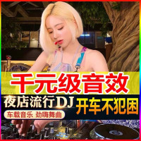 汽车载U盘dj歌曲重低音劲爆舞曲夜店嗨曲炸街工体d亅音乐车用优