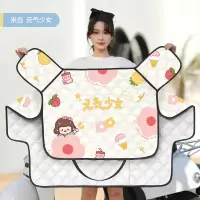 电动机车挡风被夏季防晒罩电瓶防水小2024新款防雨双面亲子款