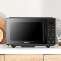 Galanz/格兰仕 家用微波炉不锈钢微蒸烤箱一体 24小时预约 G80F20CSL-B8(R1)