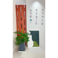 意大利进口艺术涂料