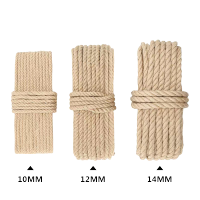 蒙浩博 麻绳 /100米