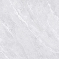 凯尼娜通体大理石瓷砖STJ8036