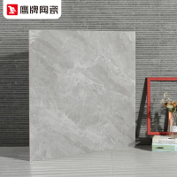 鹰牌 地板砖800x800 全抛釉客厅欧式轻奢瓷砖 灰色全瓷地砖 卡尚灰