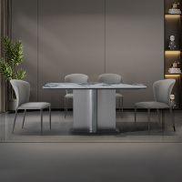 E-FONG以蜂家居墨兰系列餐桌椅EF-F005餐桌/EF-G005餐椅现代时尚百搭微晶石餐桌 餐椅(一包两把)