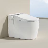 唯感(Veil Kam)889电解水智能马桶一体机全自动无水压限制多功能即热冲洗座便器 [808BW]自动翻盖 双重杀菌