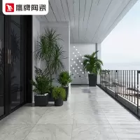 鹰牌瓷砖客厅地砖简约现代仿古防滑地砖600x600银鼎石