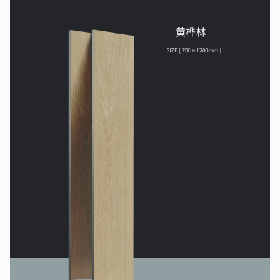 2023顺辉瓷砖木纹砖客厅卧室书房瓷砖