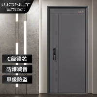 华爵防盗门入户门单门定制KDB007(含锁体不含拉手)