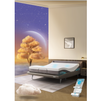 舒福德智能床+一键入眠+一键减鼾+一键提醒