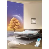 舒福德智能床+一键入眠+一键减鼾+一键提醒