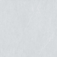 冠珠瓷砖400*800全瓷内墙地砖GF-DIQ1T849817D全抛釉(西安专供)