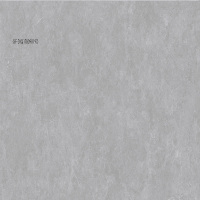 冠珠瓷砖400*800全瓷内墙地砖GF-DIQ1T849819D全抛釉(西安专供)