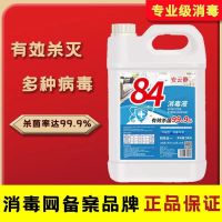 10斤装(手套+喷头+喷壶)84消毒液去霉漂白衣物酒店家用实惠洁厕卫生间消毒宠物杀菌消毒水