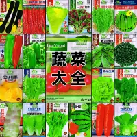 [补贴10%]蔬菜种子四季播种阳台农家盆栽香菜菠菜生菜韭菜小葱草莓籽孑大全