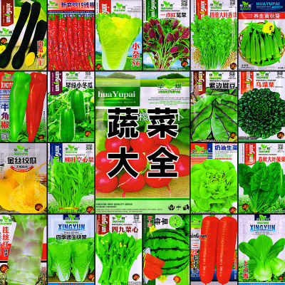 [补贴10%]蔬菜种子四季播种阳台农家盆栽香菜菠菜生菜韭菜小葱草莓籽孑大全
