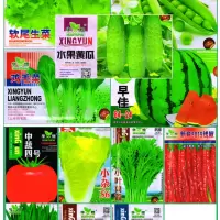 [补贴10%]蔬菜种子四季播盆栽番茄黄瓜辣椒西瓜籽孑大全罗卜蕃茄苏州青黄心