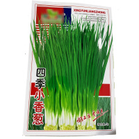 [补贴10%]庭院阳台四季小香葱种子盆栽小葱蔬菜种子籽四季播种孑播种开花