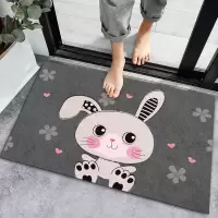 [补贴10%]40*60cm(吸水防滑,可水洗不掉色)轻奢卡通家用地垫地毯卧室门口厨房浴室吸水脚垫入户防滑垫子客厅