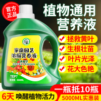 [补贴10%]营养液植物通用型花肥发财树富贵竹绿萝水培盆栽家用花卉养花肥料