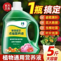 [补贴10%]营养液植物通用型花肥家用盆栽发财树富贵竹绿萝水培花卉绿植肥料
