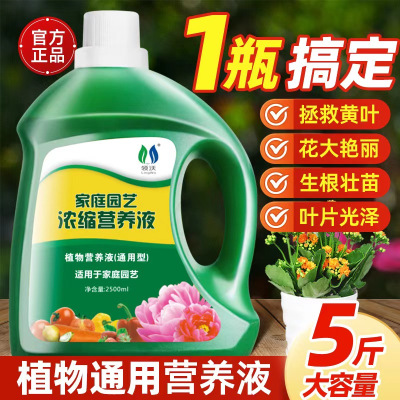 [补贴10%]营养液植物通用型花肥家用盆栽发财树富贵竹绿萝水培花卉绿植肥料
