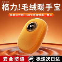 [补贴10%]暖手宝usb充电二合一2024新款迷你随身携带女生生日礼物暖宝宝便携学生专用冬天暖手神器男生手握热水袋防爆