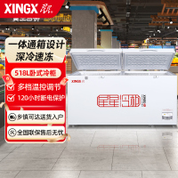 星星(XINGX) BD/BC-528GE 518升商用大冷柜 家商两用 大冷冻力冰柜 断电保护 冷藏冷冻转换柜