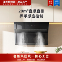 名气油烟机CXW-260-A311